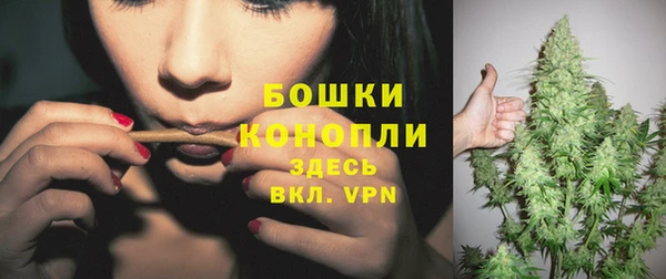 стаф Майский