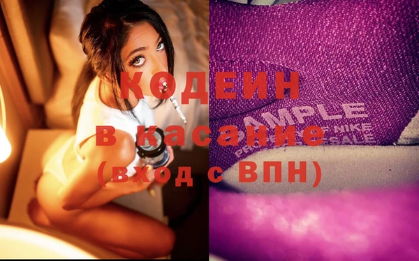 прущие грибы Алапаевск