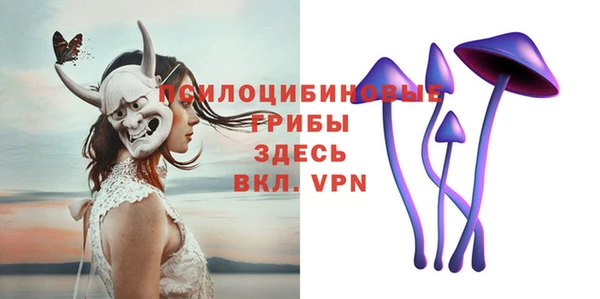 MDMA Медвежьегорск