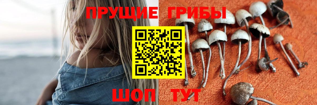 Галлюциногенные грибы MAGIC MUSHROOMS  Галлюциногенные грибы MAGIC MUSHROOMS  Вход с VPN  Родники 